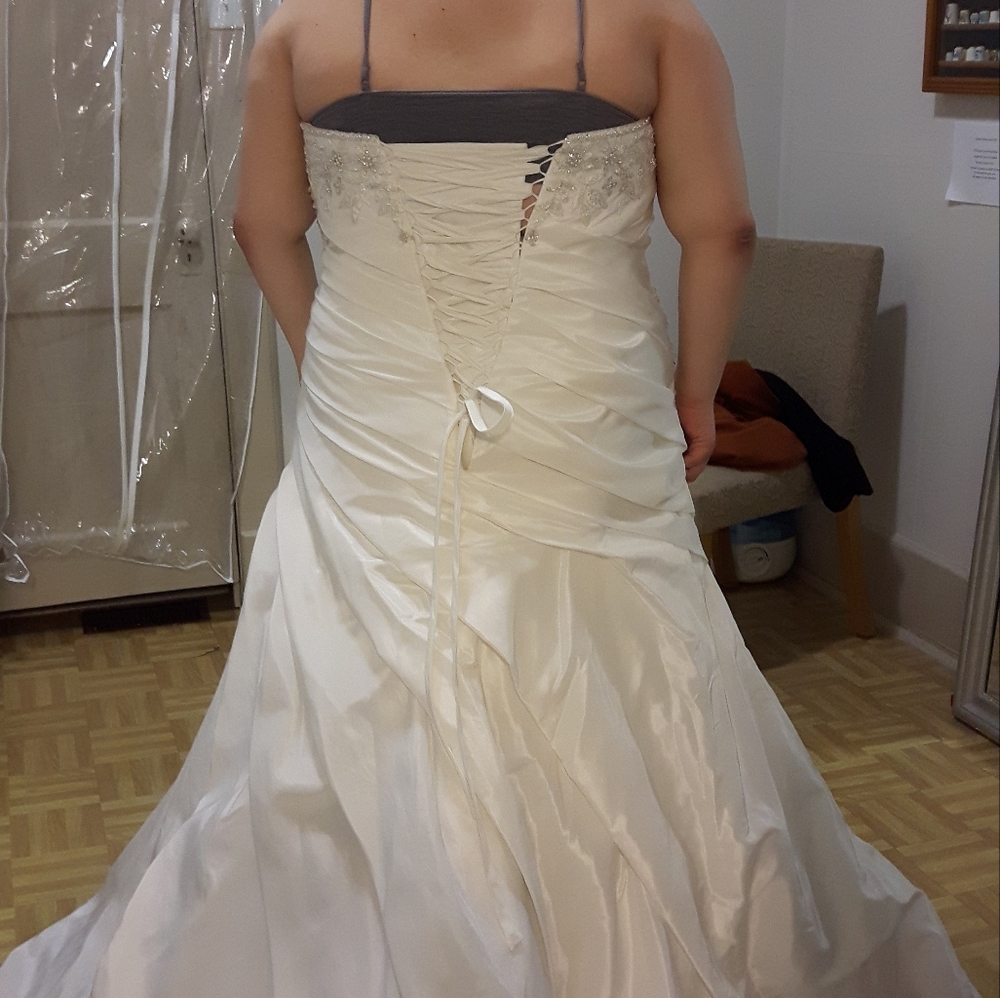 Wedding dress includes wedding shoes size 9